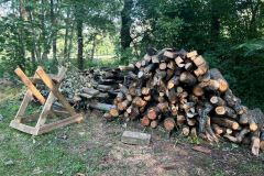 1df9b77b-b85e-434b-9510-d7d2b2c5442b