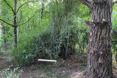 6176b213-c635-41d7-9822-6efb5c6f7a2b-1