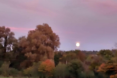 cf0541f1-7dab-4a39-80c7-374478d3628f